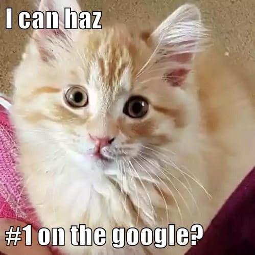 I can haz #1 on the google?