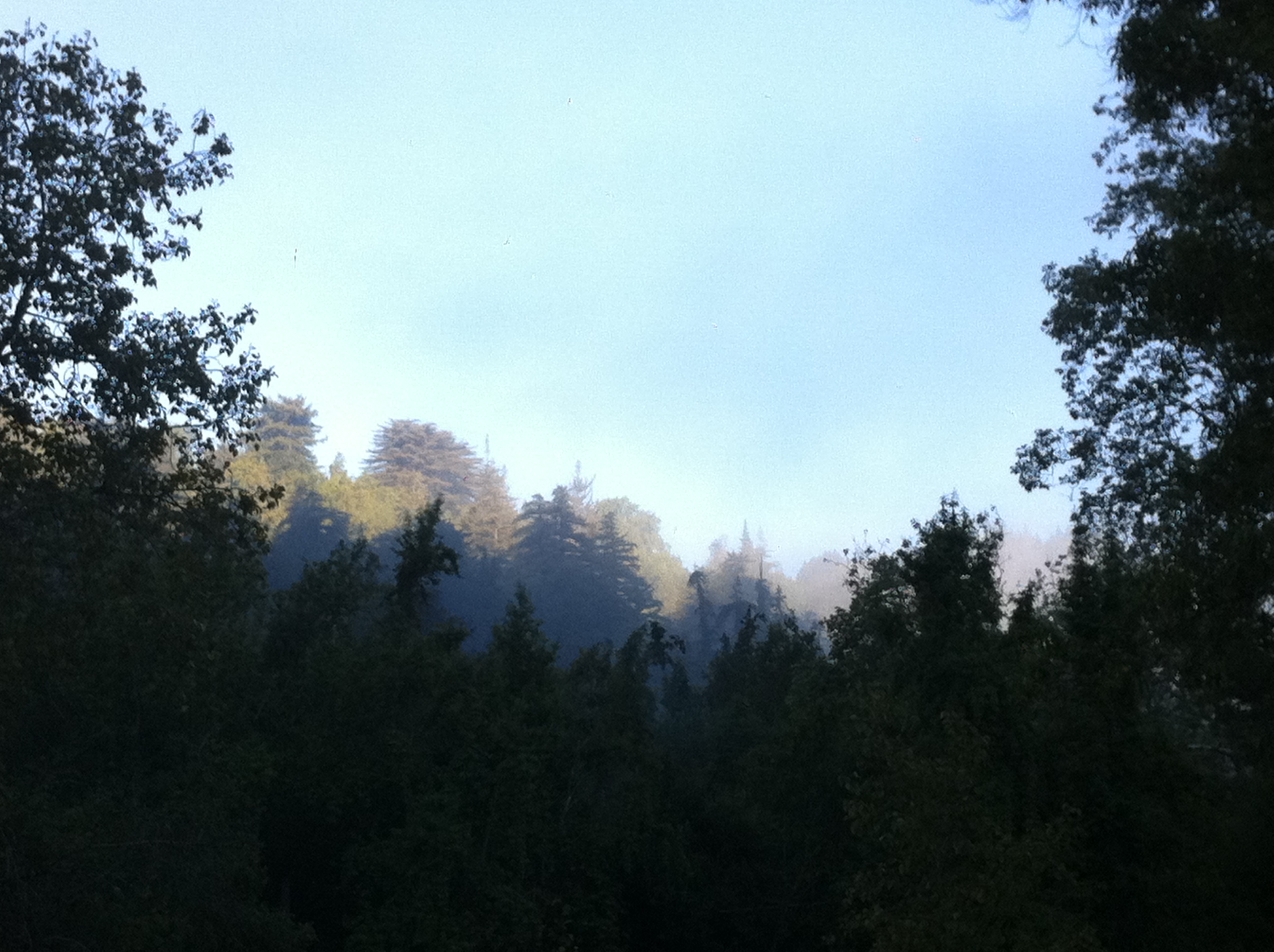 Sun coming up over the mountains in Big Sur