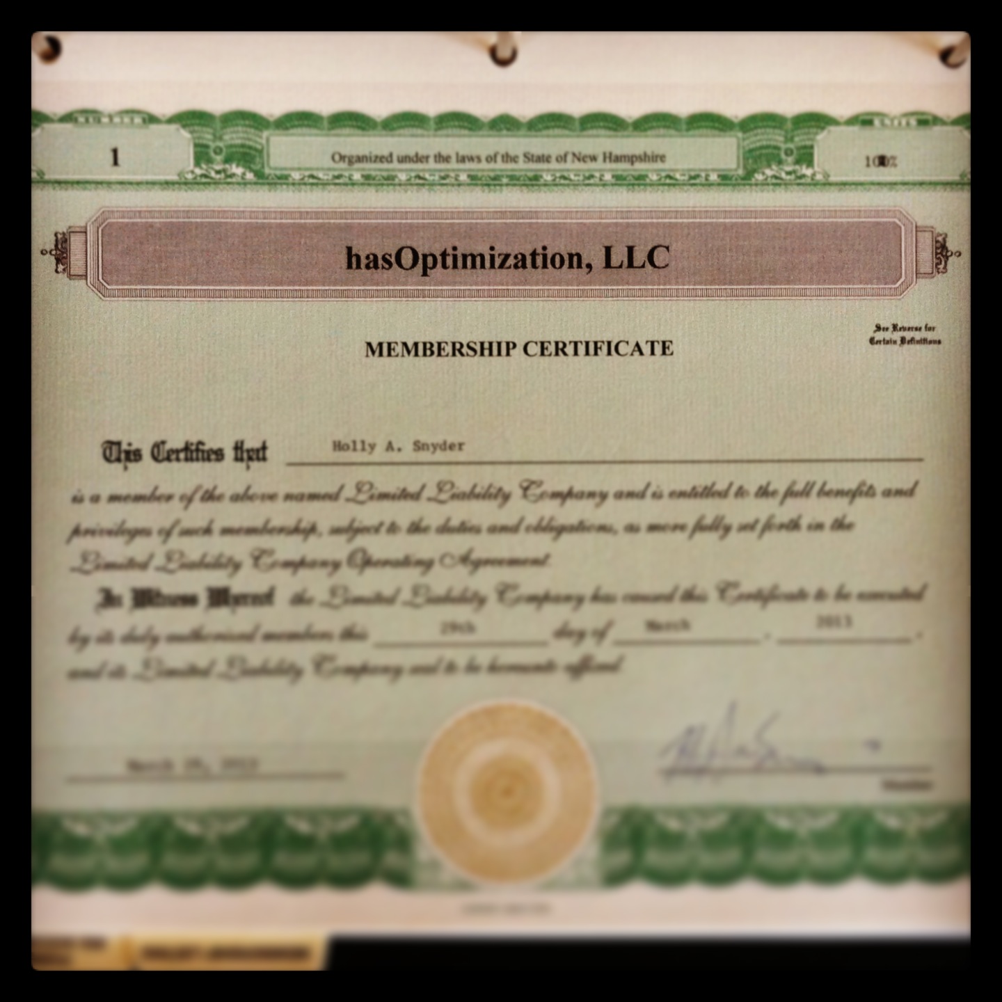 hasOptimization LLC membership certificate