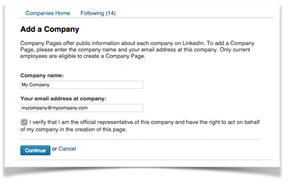 Step 4: Fill in Company Information