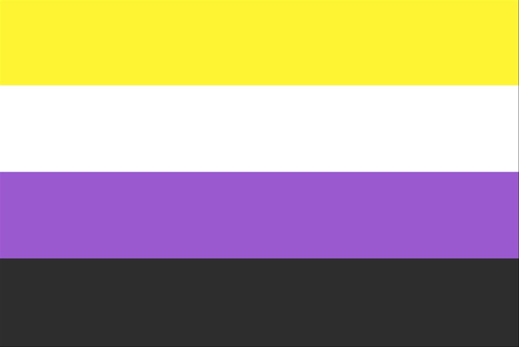 Non-Binary Flag