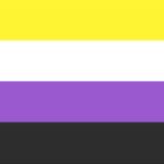 Non-Binary Flag