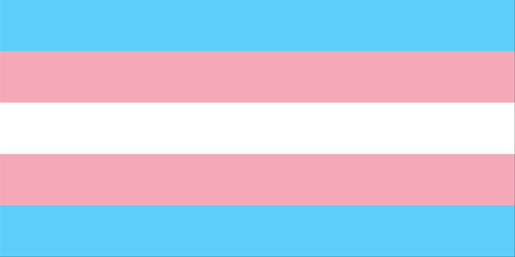 Transgender Flag Transgender Flag