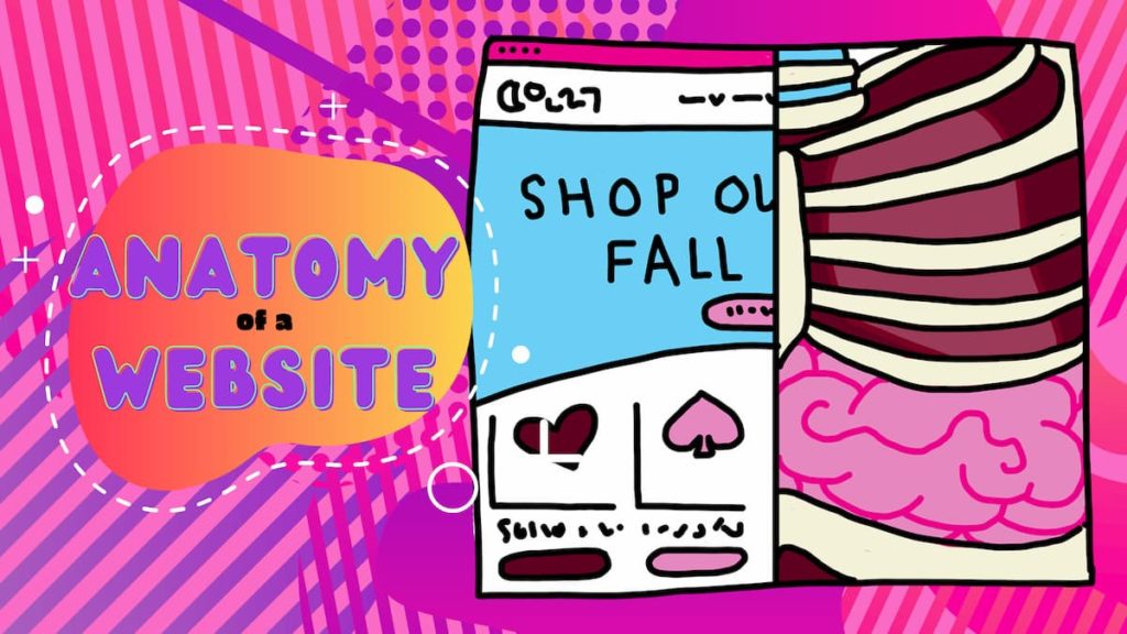 The Anatomy of a Website The Anatomy of a Website