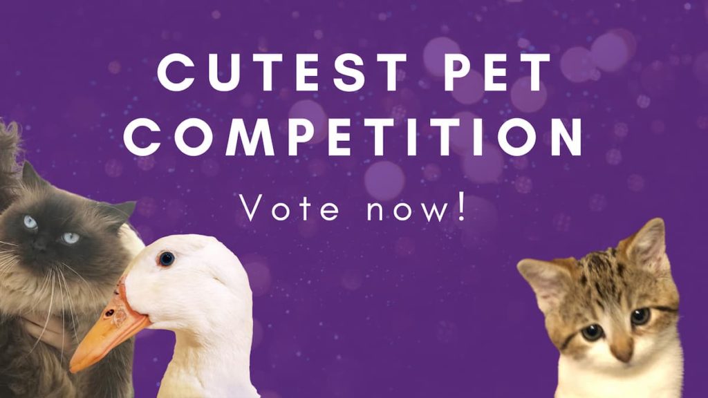 Cutest pet competition vote now!