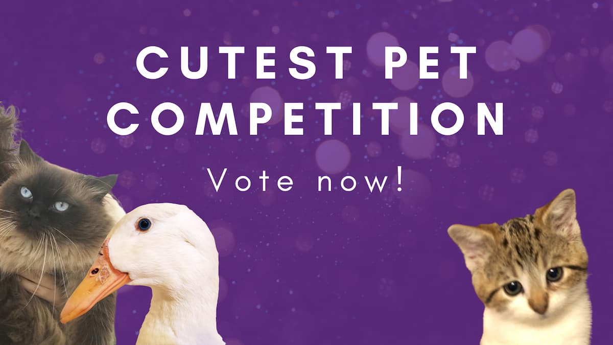 The hasOptimization 2021 Cutest Pet Competition! Vote Now