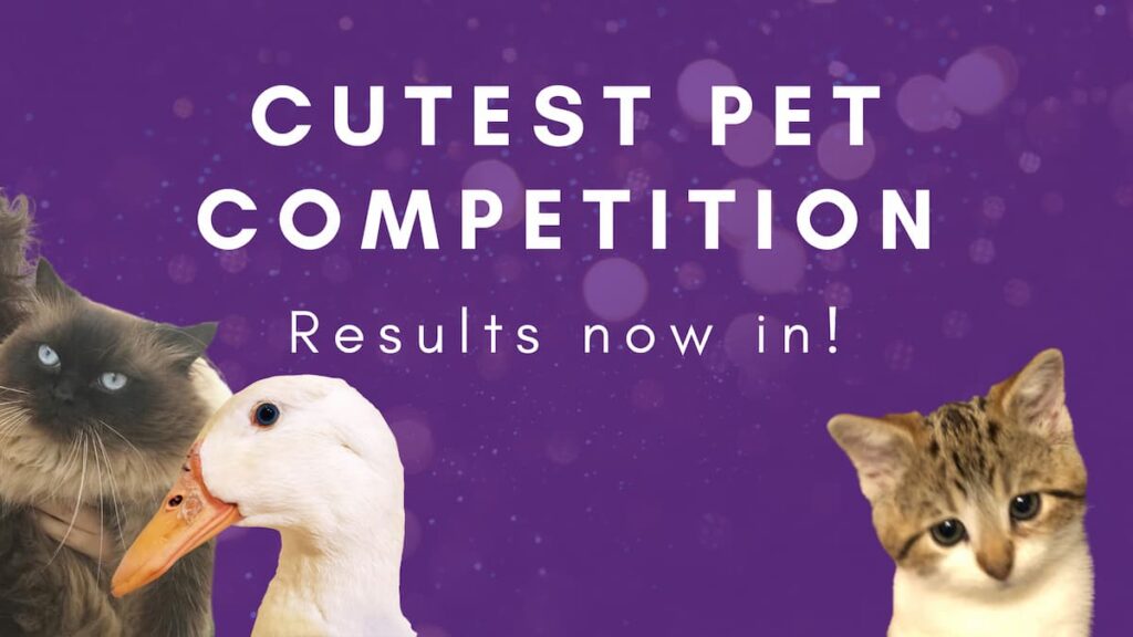 Cutest Pet Competition Results