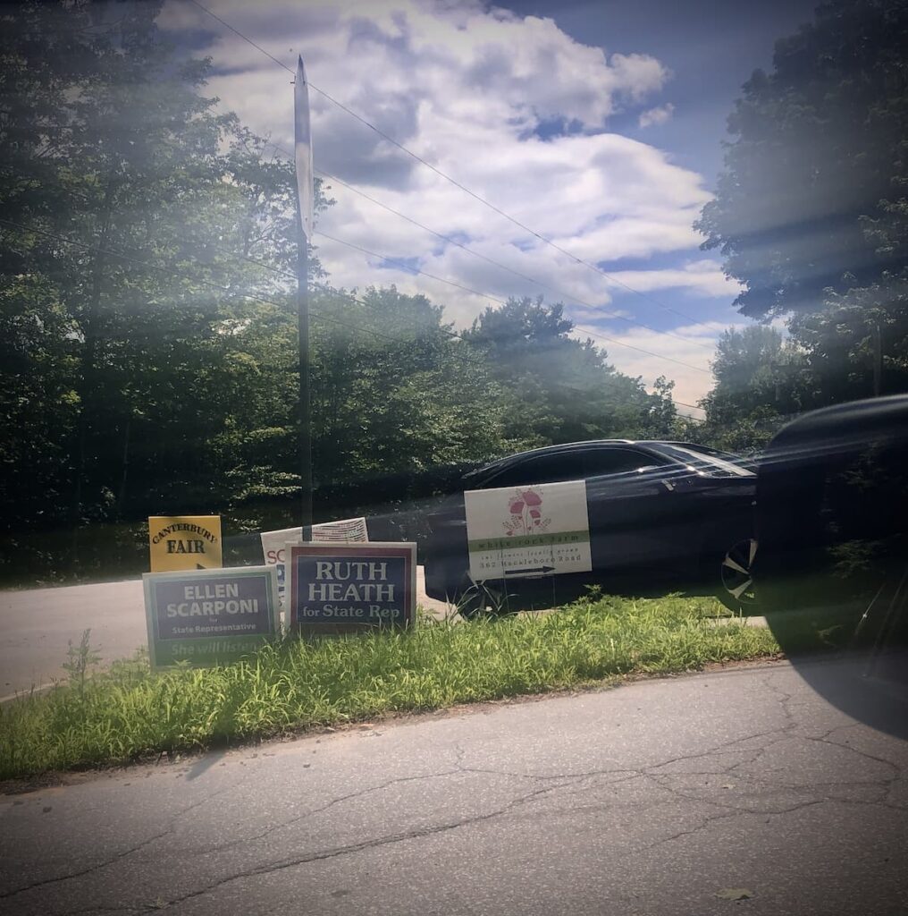 a somewhat blurred image of a collection of road signs in an intersection, including Ruth Heath and Ellen Scarponi State Rep campaign signs. 