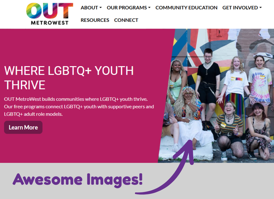Screenshot of OUT metro west site pointing out fun picture